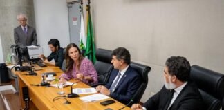 Revisão do Plano Plurianual 2024-2027 é aprovada na CEOF