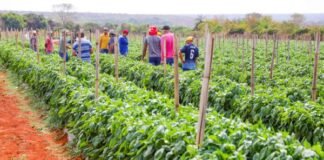 Audiência pública discute a gestão do Galpão do Produtor Rural do Paranoá