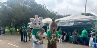 Feira Adote um Amigo: Águas Claras abraça e adota animaizinhos