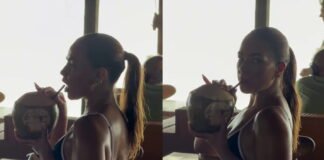 Só videozinhos legais da Petra Mel