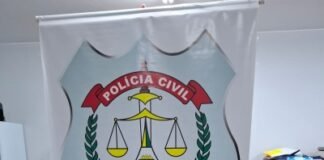 PCDF apreende quatro armas durante mandado de busca e apreensão