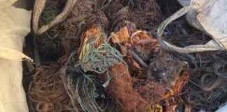 PCDF deflagra Operação Zinabre e apreende 400 kg de cobre de origem ilícita