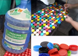 PETampinhas estrutura rede de reciclagem e garante apoio direto a animais em situação de rua no DF