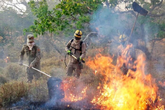 FAPEG_GOVERNO_LANCA_CHAMADA_PUBLICA_PARA_PREVENCAO_DE_INCENDIOS_NO_CERRADO.jpeg