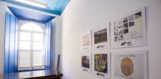 Governo de Goiás lança edital de artes visuais para Fica 2026 – Portal Goiás