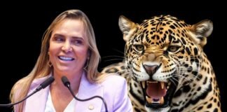 O “choque de gestão” de Celina tá mais para choque de factoides