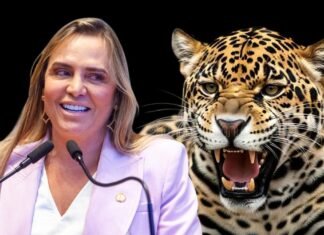 O “choque de gestão” de Celina tá mais para choque de factoides