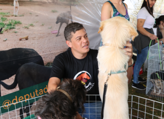 Daniel Donizet leva feira “Audote um Amigo” ao Parque da Cidade neste sábado