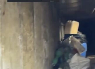 Vídeo: Israel mostra morte de chefe da ala militar do Hamas