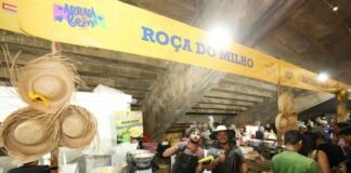 Quer trabalhar na Vila Gastronômica do Arraiá do Bem 2026? Inscrição pode ser feita até dia 20 – Portal Goiás