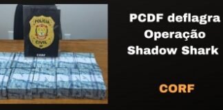 PCDF deflagra Operação Shadow Shark e prende indivíduo por lavagem de dinheiro