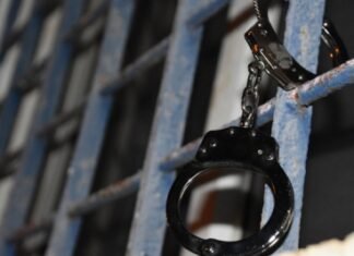 29ª DP prende autor de adulteração de sinal identificador de veículo automotor