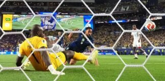 Estudo indica desconfiança do torcedor, mesmo após 1ª vitória na Copa