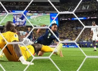 Estudo indica desconfiança do torcedor, mesmo após 1ª vitória na Copa