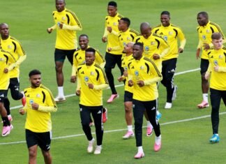 Semelhanças entre Brasil e África do Sul vão além do verde e amarelo