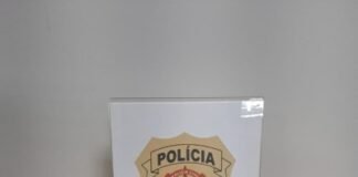 PCDF prende em flagrante mulher por tráfico internacional de arma de fogo, na Rodoviária de Brasília