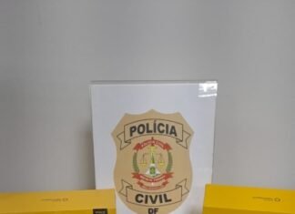 PCDF prende em flagrante mulher por tráfico internacional de arma de fogo, na Rodoviária de Brasília