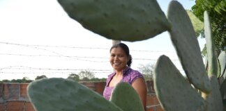Mulheres comandam produção em duas em cada dez propriedades rurais