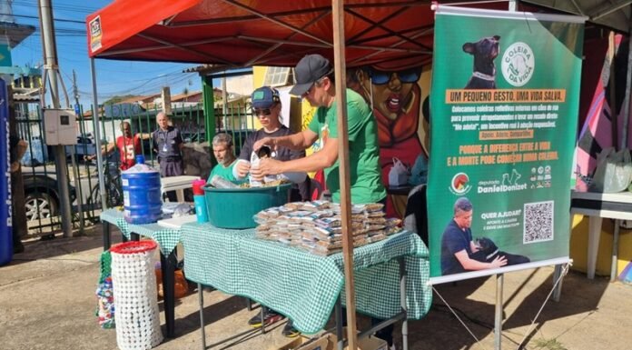 Pet na Comunidade reúne serviços gratuitos e aproxima população da causa animal em Ceilândia