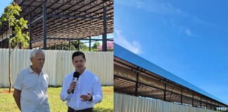 Nelson Neto cobra investigação sobre obra no canteiro central do Lago Norte