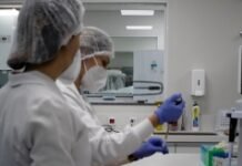 O Sistema de Gestão de Qualidade do IPDNA