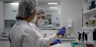 O Sistema de Gestão de Qualidade do IPDNA