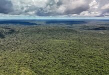 Adversária em campo, Noruega é parceria de ações ambientais do Brasil
