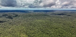 Adversária em campo, Noruega é parceria de ações ambientais do Brasil