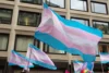 UFSC suspendeu doutoranda por criticar protocolo trans para crianças