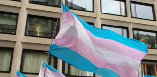 UFSC suspendeu doutoranda por criticar protocolo trans para crianças