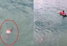Vídeo: bombeiros encontram corpo no Lago Paranoá