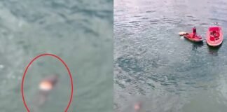 Vídeo: bombeiros encontram corpo no Lago Paranoá