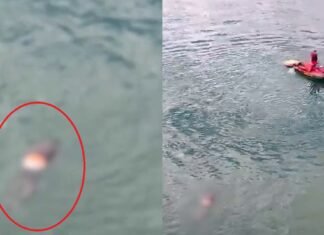 Vídeo: bombeiros encontram corpo no Lago Paranoá