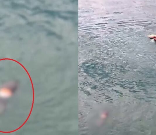 Vídeo: bombeiros encontram corpo no Lago Paranoá