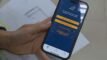 Pardal: saiba como fazer denúncias de propaganda irregular pelo APP do TSE