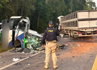 Acidente entre ônibus e carreta deixa pelo menos 21 mortos no Paraná