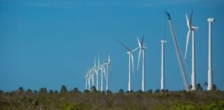 Projeto mapeia caminhos para economia verde no Nordeste