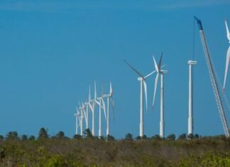 Projeto mapeia caminhos para economia verde no Nordeste