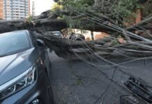 Respostas à crise climática exigem inovação, defende setor elétrico