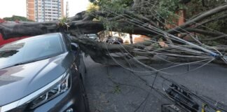 Respostas à crise climática exigem inovação, defende setor elétrico