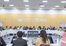 COP17 caminha para novo adiamento de acordo de combate às secas