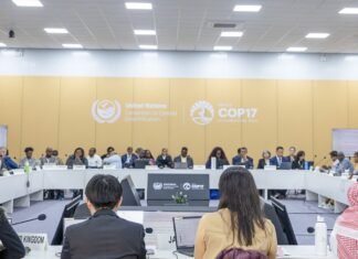COP17 caminha para novo adiamento de acordo de combate às secas