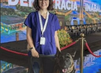 Morre veterinária atacada por cachorro no canil do Senado Federal