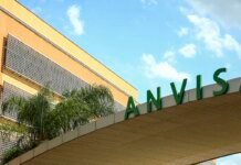 Anvisa publica registro de medicação para hipoparatireoidismo crônico