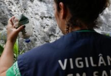 São Paulo tem mais de 58 mil casos de dengue desde o início do ano