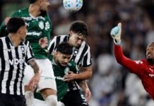 Botafogo segura Palmeiras e ajuda Flamengo, novo líder do Brasileirão