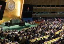 Brasil no Mundo desta quinta debate multilateralismo e desafios da ONU