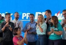 Vídeo: Celina Leão comemora apoio dos candidatos do Avante