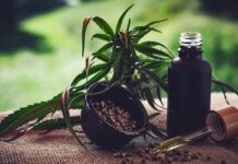 Para associações, normas ainda deixam pontos em aberto sobre cannabis