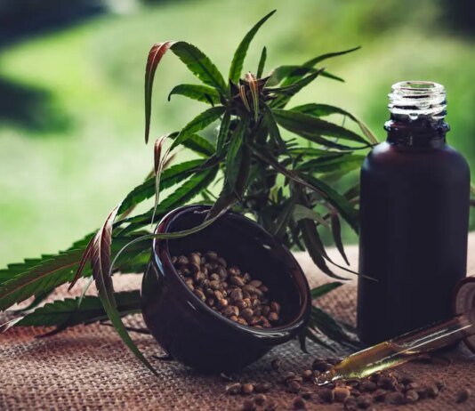 Para associações, normas ainda deixam pontos em aberto sobre cannabis